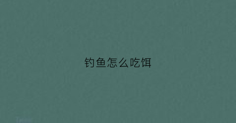 钓鱼怎么吃饵(钓鱼怎么吃饵视频)