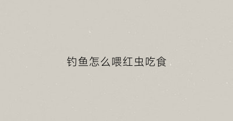 钓鱼怎么喂红虫吃食