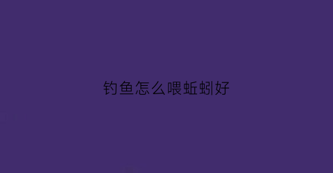 钓鱼怎么喂蚯蚓好(给鱼喂蚯蚓)