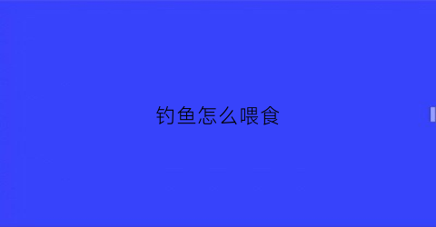 钓鱼怎么喂食(钓鱼怎么办鱼食)
