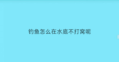 “钓鱼怎么在水底不打窝呢(钓鱼怎么在水底不打窝呢图片)