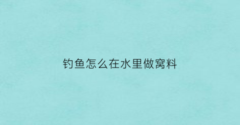 钓鱼怎么在水里做窝料(钓鱼打窝水下视频)