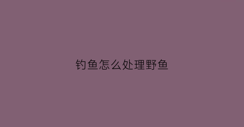 钓鱼怎么处理野鱼(野钓如何)