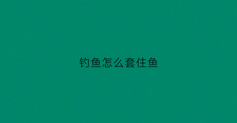 钓鱼怎么套住鱼(钓子怎么套)