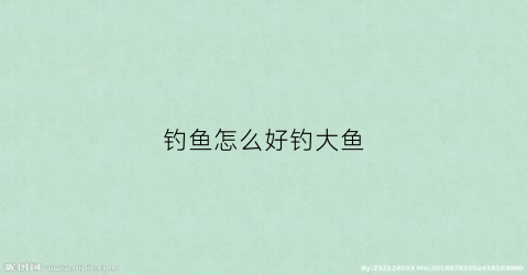 钓鱼怎么好钓大鱼(钓鱼怎么好钓大鱼呢)