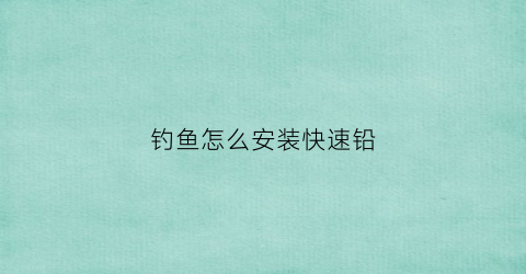 钓鱼怎么安装快速铅(钓鱼快速铅和普通铅的区别)