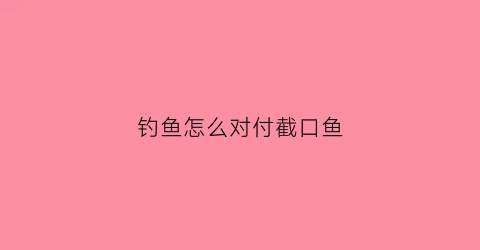 钓鱼怎么对付截口鱼