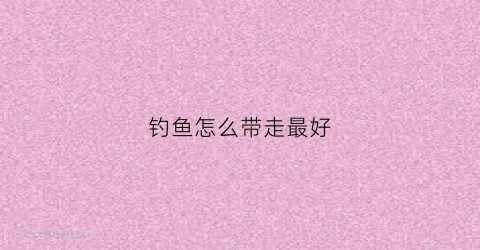 钓鱼怎么带走最好(钓鱼怎么带走最好的饵料)