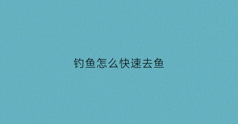 钓鱼怎么快速去鱼(怎样快速去鱼钩)