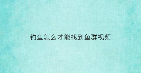 “钓鱼怎么才能找到鱼群视频(钓鱼如何找鱼)