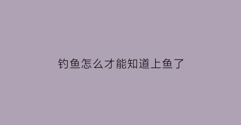 钓鱼怎么才能知道上鱼了(钓鱼怎么才能知道鱼上钩了)