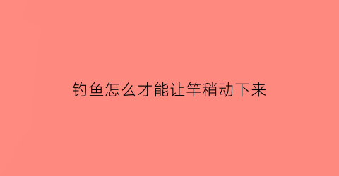 “钓鱼怎么才能让竿稍动下来(钓鱼怎样提竿不跑鱼)