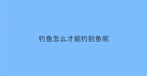 “钓鱼怎么才能钓到鱼呢(钓鱼怎么能钓到鱼技巧)