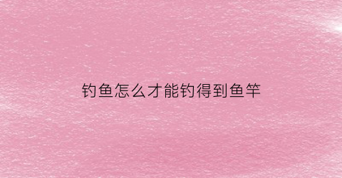 “钓鱼怎么才能钓得到鱼竿(钓鱼怎样才能钓到)