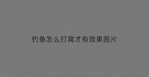 钓鱼怎么打窝才有效果图片(钓鱼怎样打窝才能取得最佳效果)