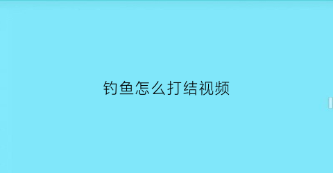 “钓鱼怎么打结视频(钓鱼怎么打结视频讲解)