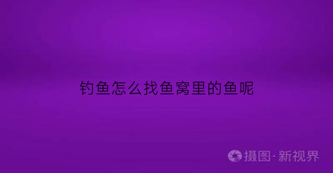 “钓鱼怎么找鱼窝里的鱼呢(教你3个钓鱼小技巧迅速找到鱼窝上鱼再也不用愁了)