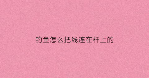 钓鱼怎么把线连在杆上的