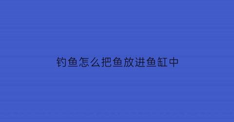 钓鱼怎么把鱼放进鱼缸中(钓鱼怎么把鱼放进鱼缸中间)