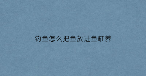钓鱼怎么把鱼放进鱼缸养(钓鱼后怎么把鱼带回家)