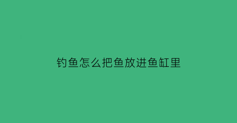 “钓鱼怎么把鱼放进鱼缸里(钓鱼怎么把鱼放进鱼缸里的)