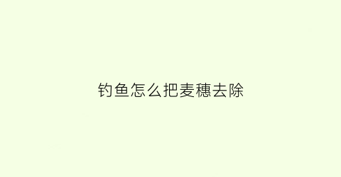 钓鱼怎么把麦穗去除(野钓麦穗)