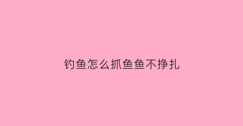 钓鱼怎么抓鱼鱼不挣扎(钓鱼怎么抓鱼口)