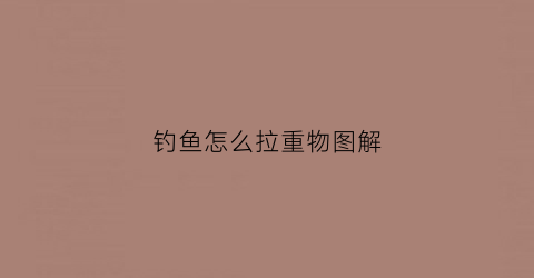 钓鱼怎么拉重物图解(钓鱼中大鱼怎么拉杆)