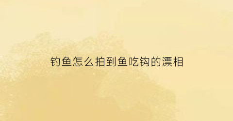 钓鱼怎么拍到鱼吃钩的漂相(各种鱼吃钩漂相视频)