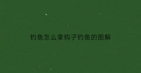 “钓鱼怎么拿钩子钓鱼的图解(钓鱼怎么拿钩子钓鱼的图解大全)