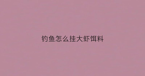 钓鱼怎么挂大虾饵料(钓虾挂饵技巧视频)