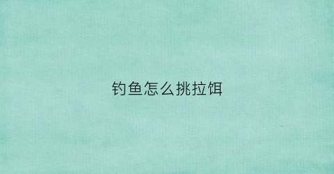 钓鱼怎么挑拉饵(拉饵怎么选漂)