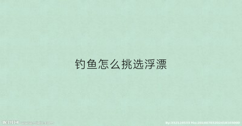 钓鱼怎么挑选浮漂(钓鱼怎样选浮漂)