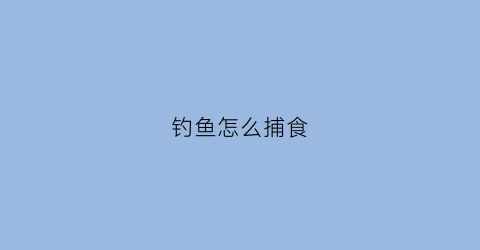 钓鱼怎么捕食(钓鱼怎么能钓到鱼技巧)