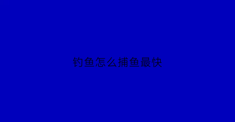 钓鱼怎么捕鱼最快(快速地捕鱼)