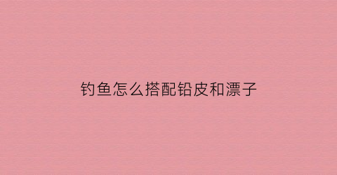 钓鱼怎么搭配铅皮和漂子(钓鱼铅皮怎么调试视频)