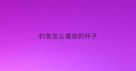 钓鱼怎么摸鱼的杆子(钓鱼怎么摸鱼的杆子好)