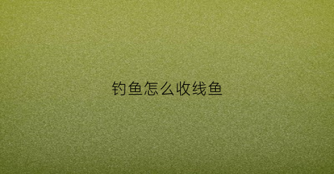 钓鱼怎么收线鱼(钓鱼如何收线组)