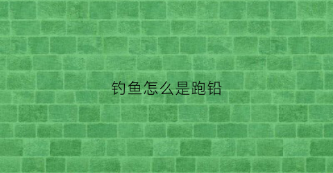 钓鱼怎么是跑铅(钓鱼什么是跑铅钓法)