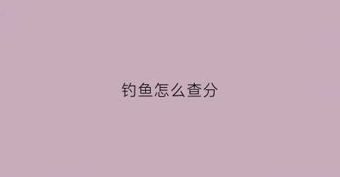 钓鱼怎么查分(钓鱼怎么查分辨率高低)