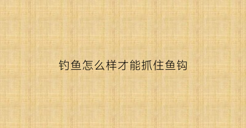 钓鱼怎么样才能抓住鱼钩(钓鱼怎么钓到鱼)
