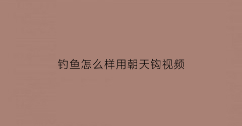 钓鱼怎么样用朝天钩视频(怎样使用朝天钩)