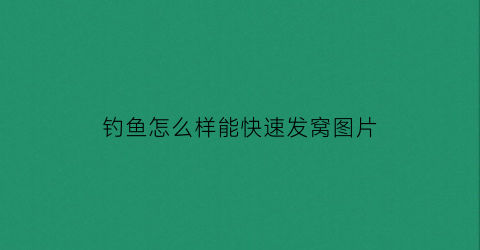 “钓鱼怎么样能快速发窝图片(怎么样才能钓鱼钓的更快掉的更多)