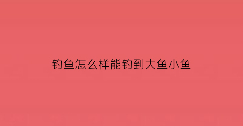 钓鱼怎么样能钓到大鱼小鱼(钓鱼怎么样能钓到大鱼小鱼呢)