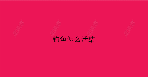 钓鱼怎么活结(钓鱼怎样打结能拉紧绳子)