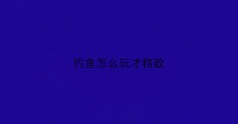 钓鱼怎么玩才精致(钓鱼怎么玩才精致视频)