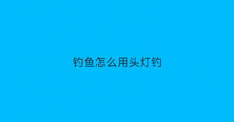 钓鱼怎么用头灯钓(夜钓头灯)