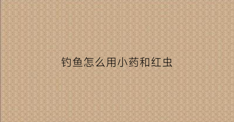 钓鱼怎么用小药和红虫(钓鱼用红虫注意什么)