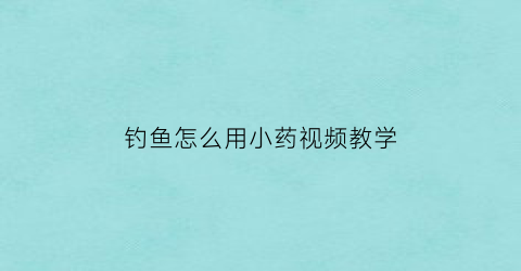 钓鱼怎么用小药视频教学(钓鱼小药使用的正确方法)