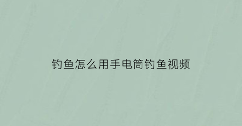 钓鱼怎么用手电筒钓鱼视频